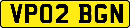 VP02BGN