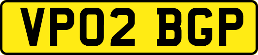 VP02BGP