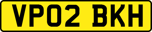 VP02BKH