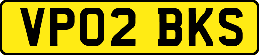 VP02BKS