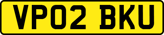 VP02BKU