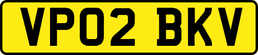 VP02BKV