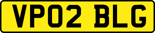 VP02BLG