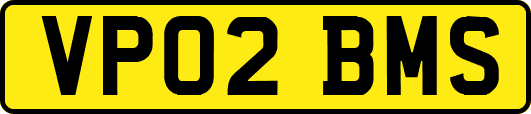 VP02BMS