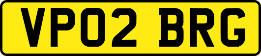 VP02BRG