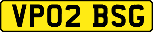 VP02BSG