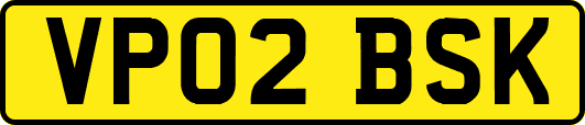 VP02BSK