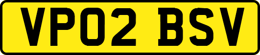 VP02BSV