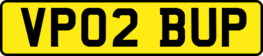 VP02BUP