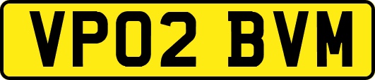 VP02BVM