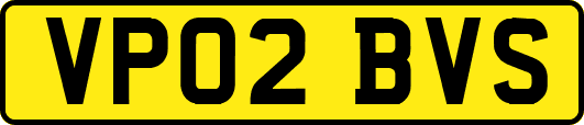 VP02BVS
