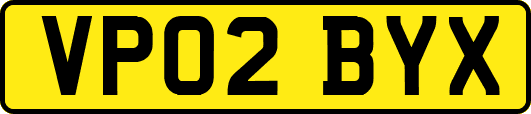 VP02BYX
