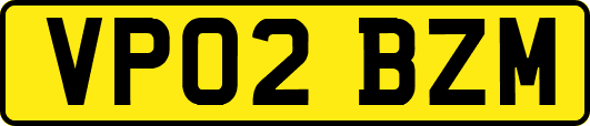 VP02BZM