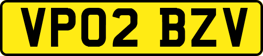 VP02BZV
