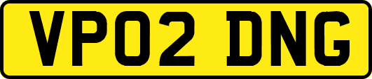 VP02DNG