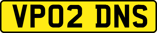 VP02DNS