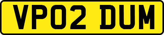 VP02DUM