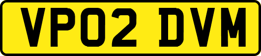 VP02DVM
