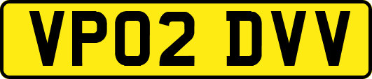 VP02DVV