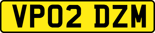 VP02DZM
