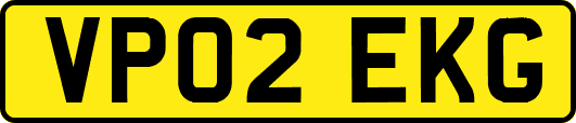 VP02EKG