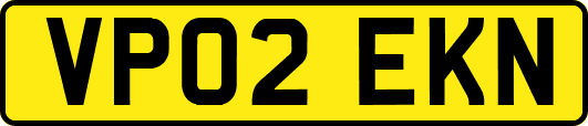 VP02EKN