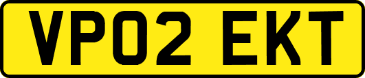 VP02EKT