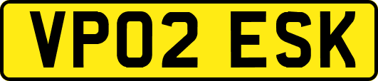VP02ESK