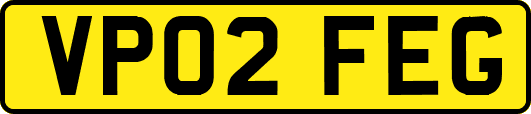 VP02FEG
