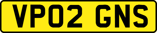 VP02GNS