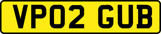 VP02GUB