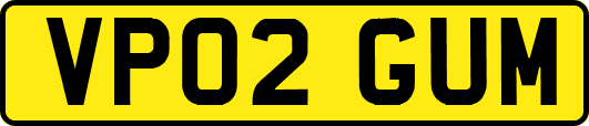 VP02GUM