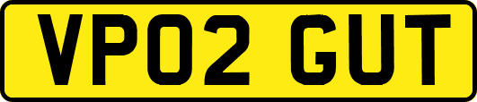 VP02GUT