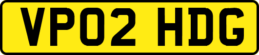 VP02HDG