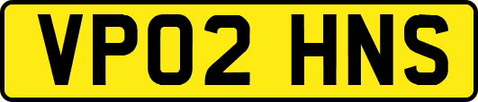 VP02HNS
