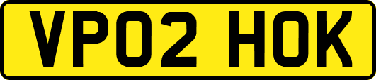 VP02HOK