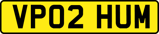 VP02HUM
