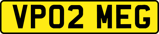VP02MEG