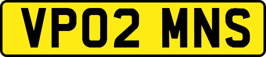 VP02MNS