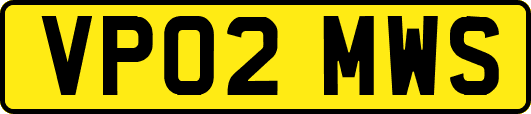 VP02MWS