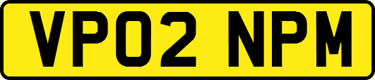 VP02NPM