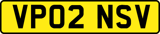 VP02NSV