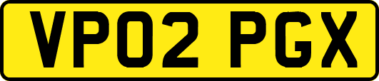 VP02PGX