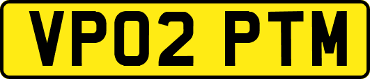 VP02PTM