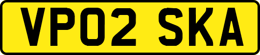 VP02SKA
