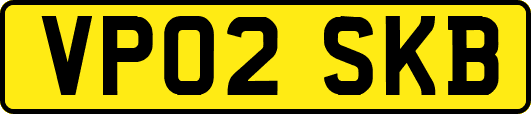 VP02SKB