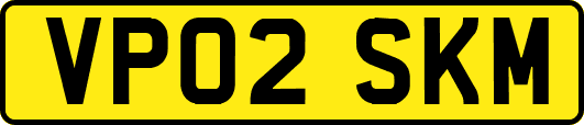 VP02SKM