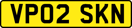 VP02SKN