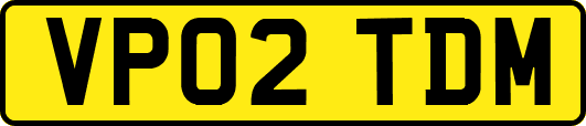 VP02TDM
