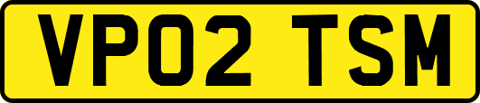 VP02TSM